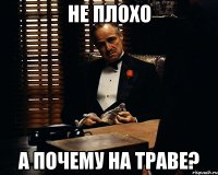 не плохо а почему на траве?