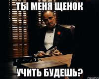 ты меня щенок учить будешь?