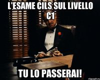 L'esame CILS sul livello C1 TU LO PASSERAI!