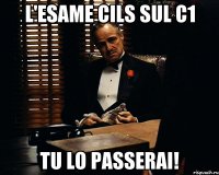 L'esame CILS sul C1 TU LO PASSERAI!