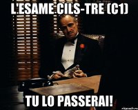 L'esame CILS-TRE (C1) TU LO PASSERAI!