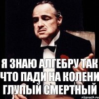 Я знаю алгебру Так что пади на колени глупый смертный