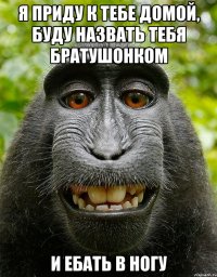 Я приду к тебе домой, буду назвать тебя братушонком и ебать в ногу