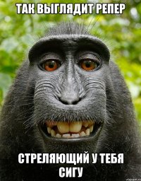 Так выглядит репер стреляющий у тебя сигу