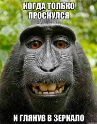 Когда только проснулся И глянув в зеркало