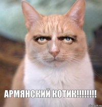 Армянский Котик!!!!!!!!