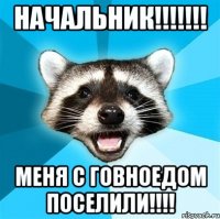 начальник!!!!!!! меня с говноедом поселили!!!!