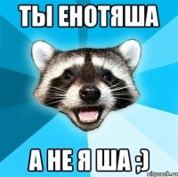 ТЫ Енотяша а не Я ша ;)