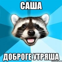 Саша Доброге утряша