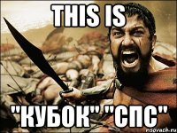 This is "Кубок" "СПС"