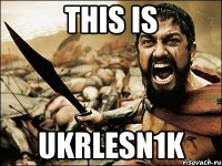 THIS IS ukrlesn1k