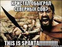 Кристал обыграл Северных Сов? This is Sparta!!!!!!!!!!!!