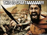 This is SPARTAAAAAAA!!! 