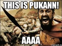 THIS IS PUKANN! AAAA