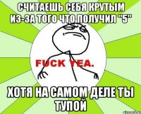 считаешь себя крутым из-за того что получил "5" хотя на самом деле ты тупой