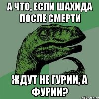 А что, если шахида после смерти ждут не гурии, а фурии?