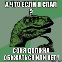 а что если я спал ? соня должна обижаться или нет !