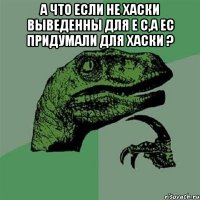 А что если не хаски выведенны для Е С,а ЕС придумали для хаски ? 