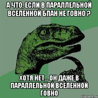 А что, если в параллельной вселенной БПАН не говно ? Хотя нет... он даже в параллельной вселенной говно