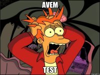 avem test