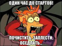 Один час до стартов! Почистить, заплести, оседлать...