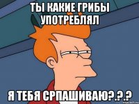 Ты какие грибы употреблял я тебя српашиваю?.?.?