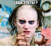 Саша это ты ? 