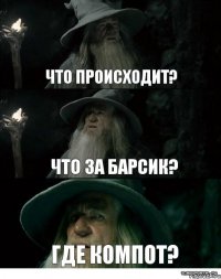 ЧТО ПРОИСХОДИТ? ЧТО ЗА БАРСИК? ГДЕ КОМПОТ?