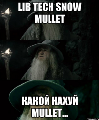 Lib Tech Snow Mullet Какой нахуй mullet...