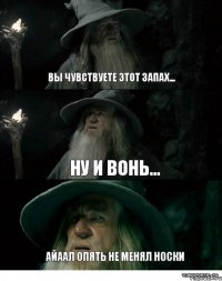 вы чувствуете этот запах... ну и вонь... Айаал опять не менял носки