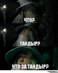 Что? Тандыр? Что за тандыр?