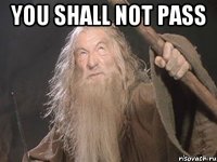 you shall not pass 