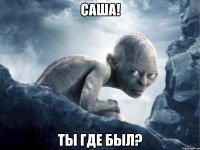 Саша! Ты где был?