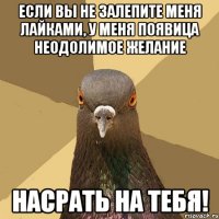 если вы не залепите меня лайками, у меня появица неодолимое желание насрать на тебя!