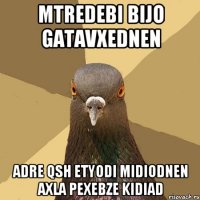 mtredebi bijo gatavxednen adre QSH etyodi midiodnen axla pexebze kidiad