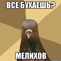 Все бухаешь? Мелихов