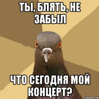 ты, блять, не забыл что сегодня мой концерт?