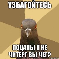 УЗБАГОЙТЕСЬ ПОЦАНЫ Я НЕ ЧИТЕРГ ВЫ ЧЕГ?