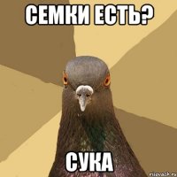 семки есть? сука