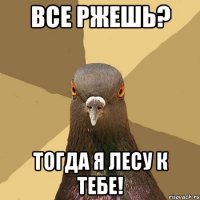 Все ржешь? Тогда я лесу к тебе!