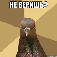 не веришь? 