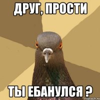 Друг, прости ТЫ ЕБАНУЛСЯ ?