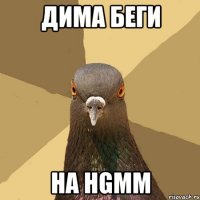 Дима беги на hgmm