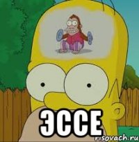  эссе