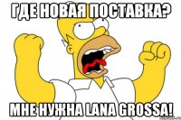 ГДЕ НОВАЯ ПОСТАВКА? МНЕ НУЖНА LANA GROSSA!