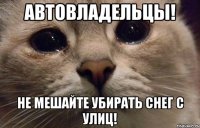 Автовладельцы! Не мешайте убирать снег с улиц!