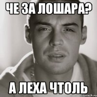 Че за лошара? А Леха чтоль