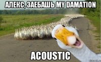 Алекс, заебашь my damation acoustic