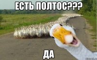 Есть полтос??? Да