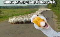 жили-у-бабуси-два-весёлых-гусей!.. 